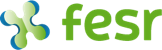 logo FESR